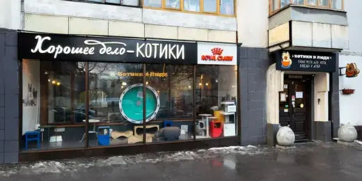 Котокафе «Котики и Люди», фотография 4