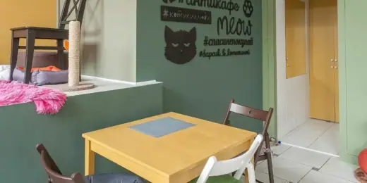 Котокафе «Котики и Люди», фотография 2