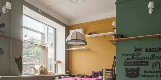 Котокафе «Котики и Люди», фотография 1