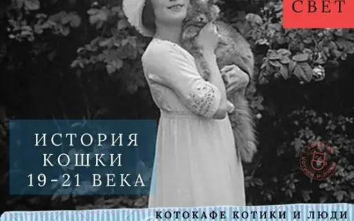 История домашней кошки XIX -XX!