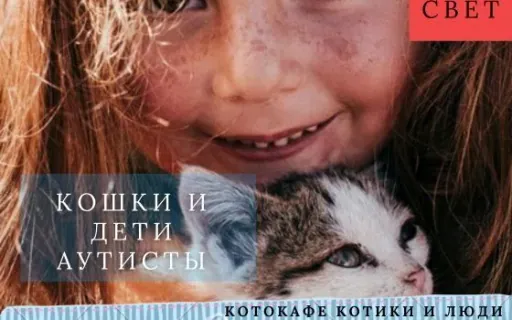 Кошки и дети с аутизмом: как питомец помогает развитию и снижает стресс