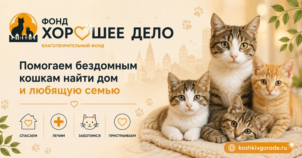 Муся без глазика